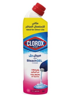 Buy Floral Magic Clorox Plus Cleaner Gel 750ml in UAE