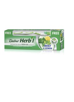 Buy Herbal Fresh Gel Toothpaste + Toothbrush Free | With Mint & Lemon Extracts | Fresh Breath for Super White Teeth Multicolour 150grams in Saudi Arabia