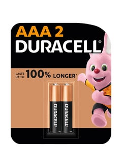 Buy Type AAA Alkaline Batteries 2 Pieces Multicolour in UAE