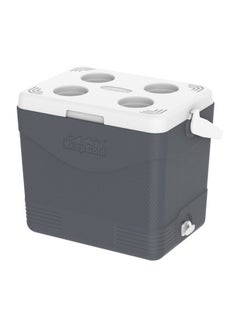 Buy Keepcold Picnic Icebox Gery 24.0Liters in UAE