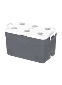 Buy Keepcold Picnic Icebox Gery 60.0Liters in UAE