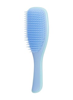 Buy Wet Detangler Brush Blue in UAE