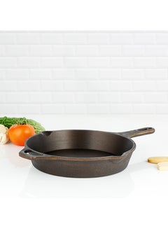 Buy Pre Seasoned Super Smooth Skillet Fry Pan Brown 10.25inch in Saudi Arabia