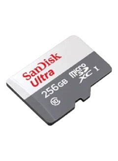 Buy 256GB Ultra Microsdxc Uhs 1 Card 100Mb/S Grey -Sdsqunr-256G-Gn3Mn, Grey 256 GB in Saudi Arabia