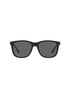 Buy Men's Square Sunglasses - EA4184 500187 49 - Lens Size: 49 Mm in UAE