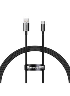 Buy Superior Series Fast Charging Data Cable USB to Type-C 100W 1m Cluster Black black in Egypt