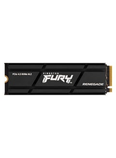 Buy Fury Renegade 2TB PCIe Gen 4.0 NVMe M.2 Internal Gaming SSD with Heat Sink | PS5 Ready | Up to 7300MB/s 2 TB in UAE