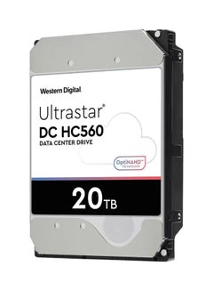 Buy 20TB 7200RPM 512MB SATA 6Gb/s Internal Hard Drive 20 TB in UAE