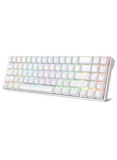 Buy RK71 Tri - Mode Hot Swapable RGB RGB Wireless Mechanical Gaming Keyboard Blue Switch in UAE