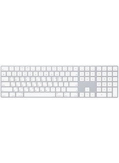 Buy Magic Keyboard With Numeric Keypad (Korean) Silver in UAE
