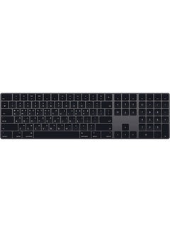 Buy Magic Keyboard with Numeric Keypad (Korean) Space Gray in UAE