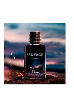 Buy Sauvage For Men EDP 100ml in UAE