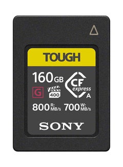 Buy CEA-G160T 160GB CFexpress Type A Memory Card (CEAG160T) 160 GB in UAE