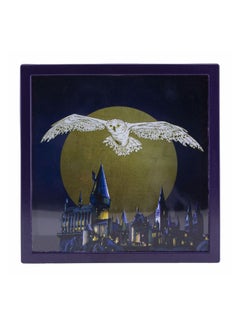 Buy Paladone Harry Potter Hedwig Frame Money Box | Officially Licensed Harry Potter Gifts in UAE