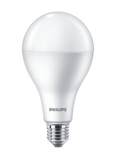 Buy Philips LED Bulb 19W E27 6500K 230VA80 1CT/6APR Cool Day Light in UAE