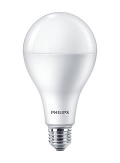 اشتري Philips LED Bulb 19W E27 6500K 230VA80 1CT/6APR Cool Day Light في الامارات