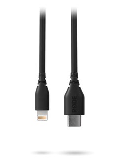 Buy 0.3m Usbc To Lightning Accessory Cable IOS SC21 Black in UAE