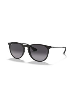 Buy Unisex Nylon Sunglasses RB4171 622/8G 54 - Lens Size: 54 Mm - Matte Black in UAE