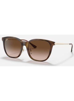 اشتري Unisex UV Protection Cat Eye Shape Sunglasses RB-4333D-55-710/13 - Brown في السعودية