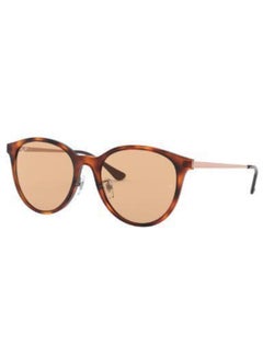 Buy Unisex UV Protection Cat Eye Shape Sunglasses RB-4334D-55-6492/93 - Brown in Saudi Arabia