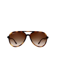 Buy Men's Full Rim Pilot Sunglasses 0RB4376 57 710/13 in Egypt