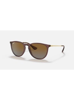 اشتري Unisex Polarized Round Shape Sunglasses RB4171 6593T5 Size 54 - Lens Size 54 Mm - Transparent Brown في الامارات