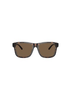 Buy Men's Full-Rimmed Rectangular Sunglasses 4208,56,6052,73 in Egypt