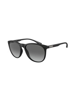 اشتري Men's Full-Rimmed Round Sunglasses 4210,56,5001,11 في مصر