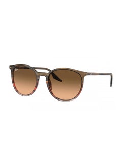 Buy Full-Rimmed Wayfarer Sunglasses 2204,54,1395, 3B in Egypt