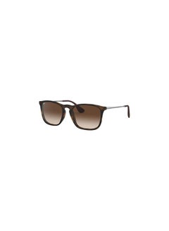 اشتري Men's Full-Rimmed Square Sunglasses 4187,54,856,13 في مصر