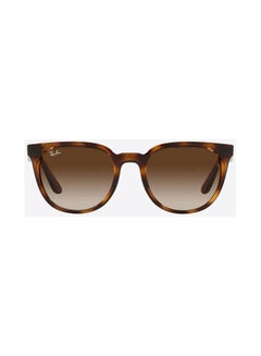 Buy Full Rim Wayfarer Sunglasses 4381I, 53, 710, 13 in Egypt