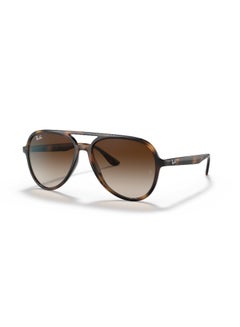 Buy Unisex Pilot Shape  Sunglasses 4376 - 57 Mm - Havana in Saudi Arabia