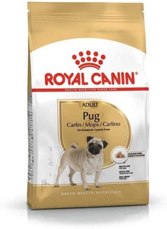 اشتري Pug Adult في الامارات