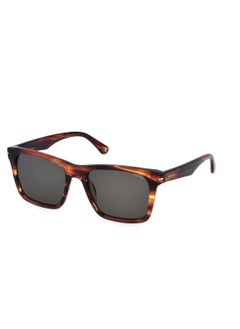 Buy Men's Square Shape  Acetate Sunglasses SPLN35M5309N3 - Lens Size: 53 Mm - Shiny Striped Brown in UAE