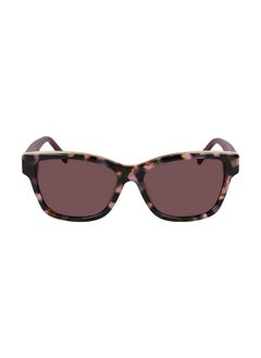 اشتري Full Rim Acetate Cat Eye Sun Dk549S (V3) Suede في الامارات