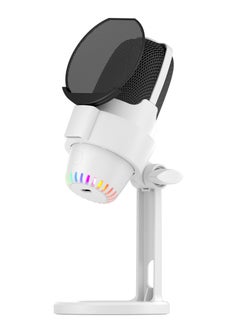 Buy Condenser Microphone, USB Computer Gaming Mic for/PC/PS4/ PS5/Desktop, Plug & Play, RGB Light, Pop Filter, Studio Microphone for Gaming, Streaming, Recording, Podcasts, Twitch, YouTube, Discord in Saudi Arabia