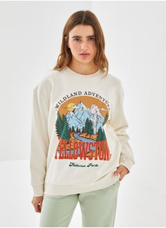 Buy Crew Neck Printed Oversize Women's Thick Sweatshirt in Egypt