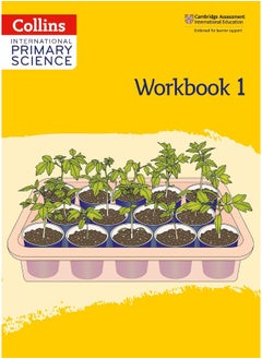 Buy International Primary Science Workbook: Stage 1 in UAE