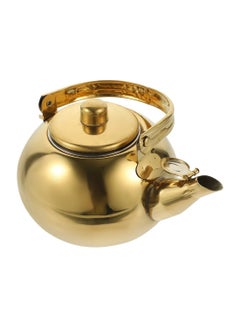 اشتري Golden Stainless Steel Pot Tea Kettle With Inner Strainer في مصر