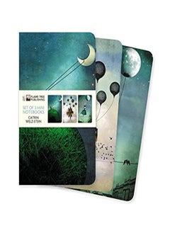 اشتري Catrin Welzstein Mini Notebook Collection by Flame Tree Studio Paperback في الامارات