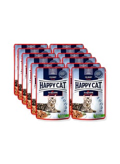 اشتري Culinary Bavarian Beef Wet Food For Cat - 12X85G في الامارات