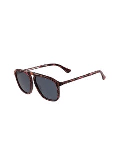 اشتري Full Rim Acetate Navigator Sunglasses Ck4317S 5815 (642) في الامارات