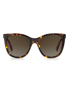 Buy Square  Sunglasses PLD 4096/S/X  HVN 52 in Saudi Arabia