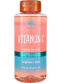 Buy Vitamin C Nourishing & Moisturizing Foaming Gel Wash 532 ML in UAE
