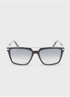 Buy Sf1037S-414 Wayfarers Sunglasses in UAE