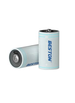 Buy Beston D size 1.5V Rechargeable Battery Type C - Pack of 1 in UAE