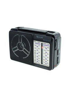 Buy High sensitivity portable radio by Golon RX-607AC - Black. in Egypt