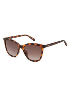 Buy FOSSIL RECTANGULAR Sunglasses in Saudi Arabia