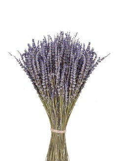 Buy Natural Dried Lavender Bouquet Decoration, 15.7 Inches Dried Flowers Bouquet for Wedding Home Office Table Kitchen Decoration (BluePurple) in UAE