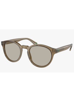 Buy Polo Ralph Lauren SUNGLASS PH4192F 60853 SIZE 51 BROWN FRAME WITH  BROWN LENS UNISEX in UAE